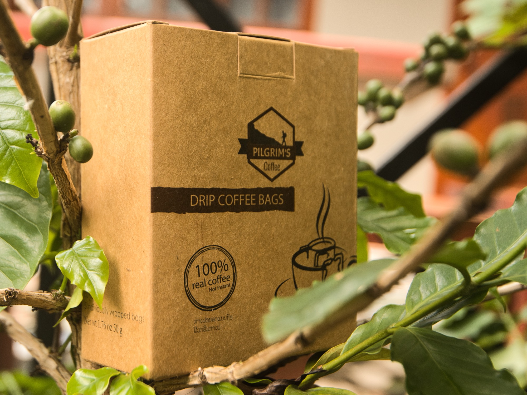 Drip Coffee