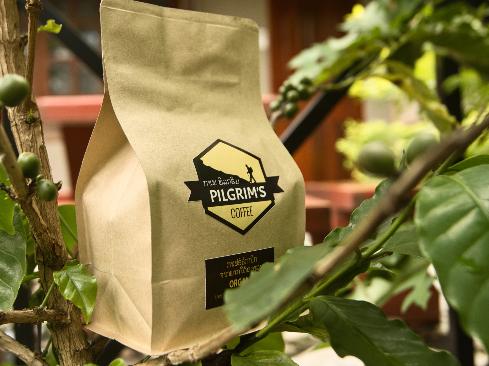 Coffee Beans / Ground 250g