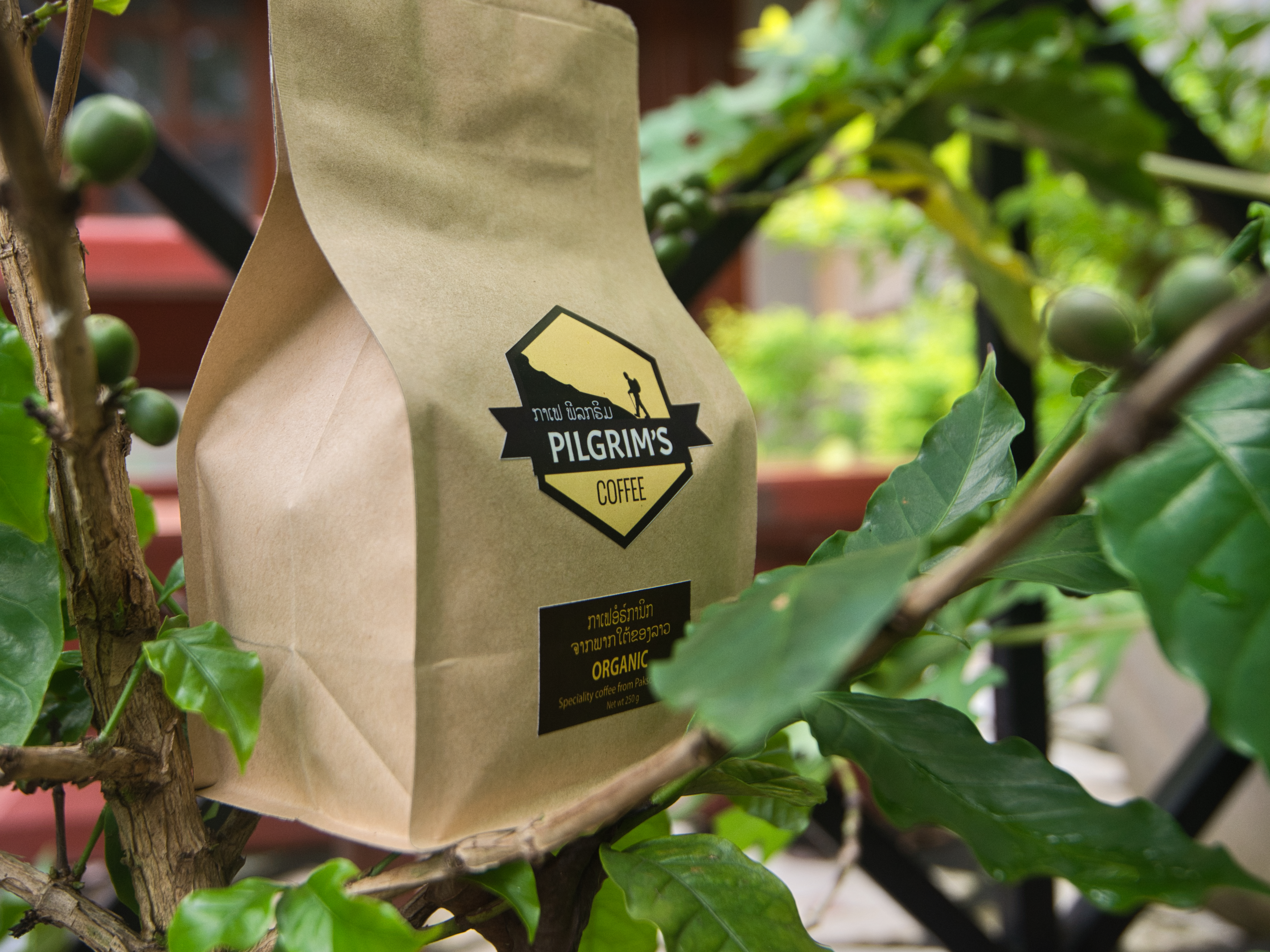 Coffee Beans / Ground 250g