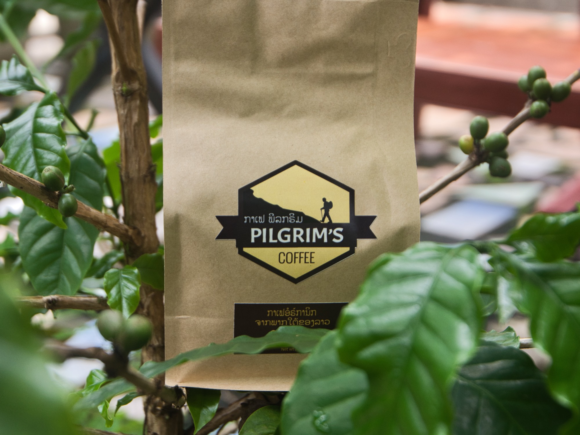 Coffee Beans / Ground 250g