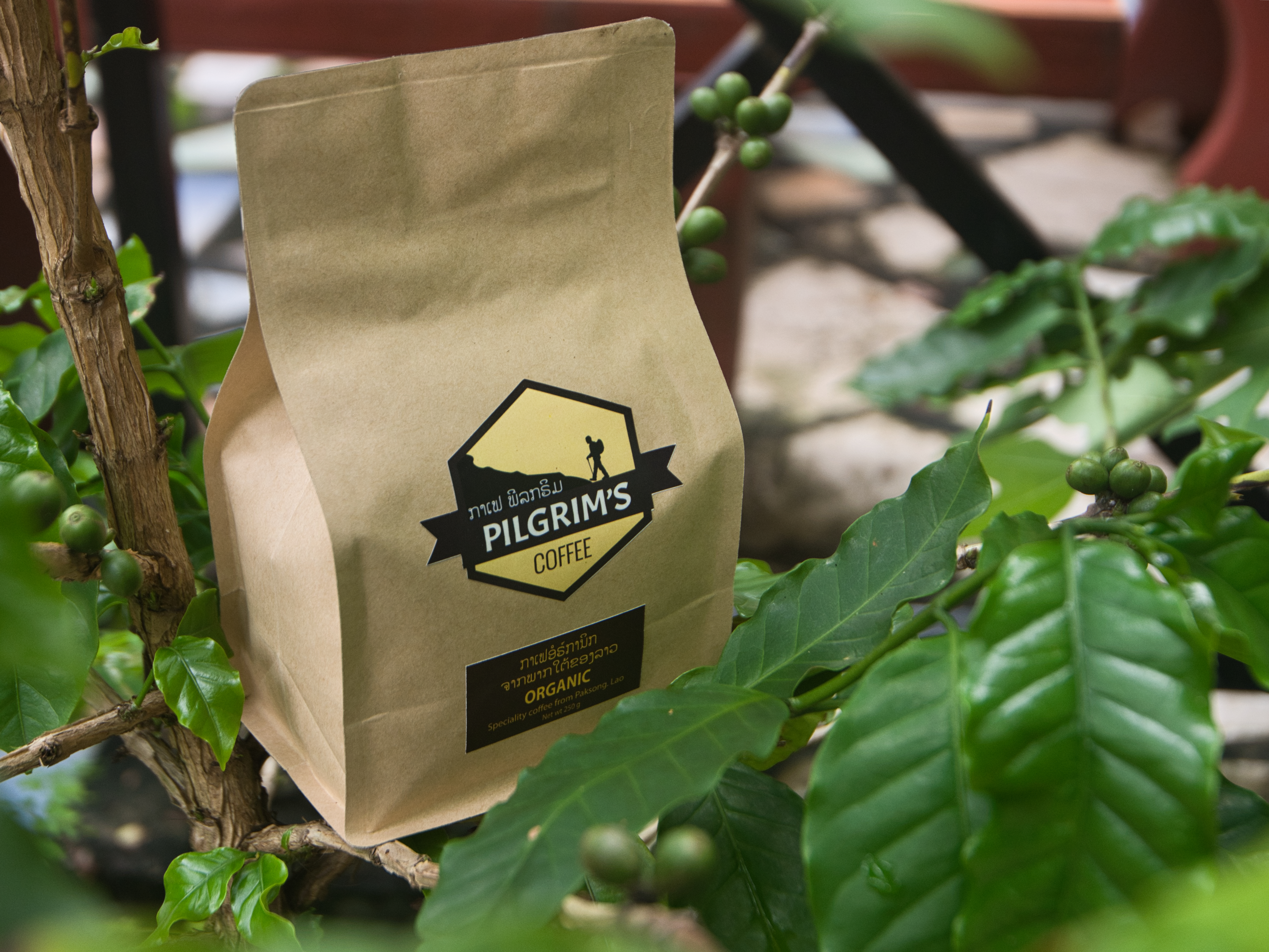 Coffee Beans / Ground 250g