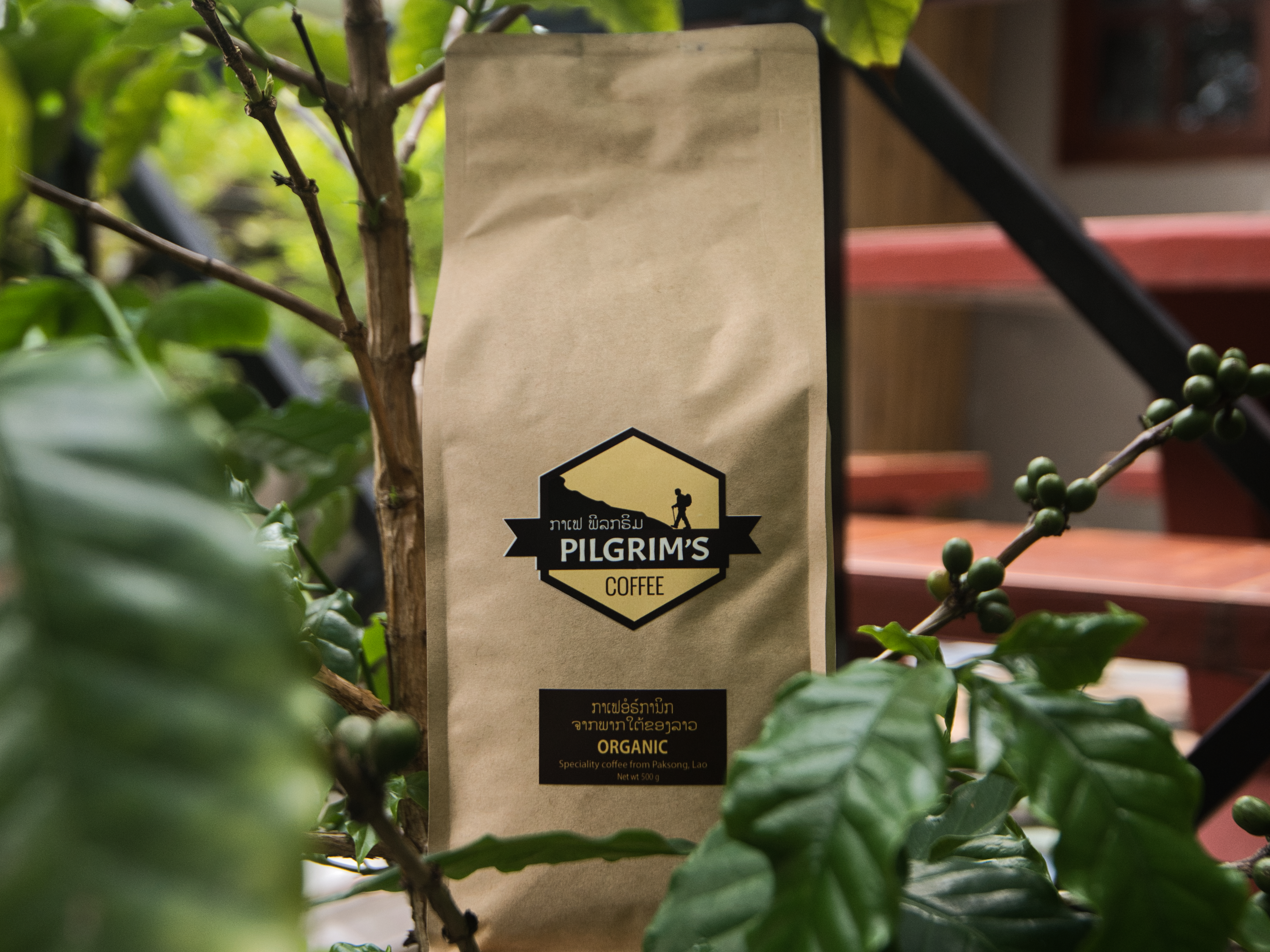 Coffee Beans / Ground 500g