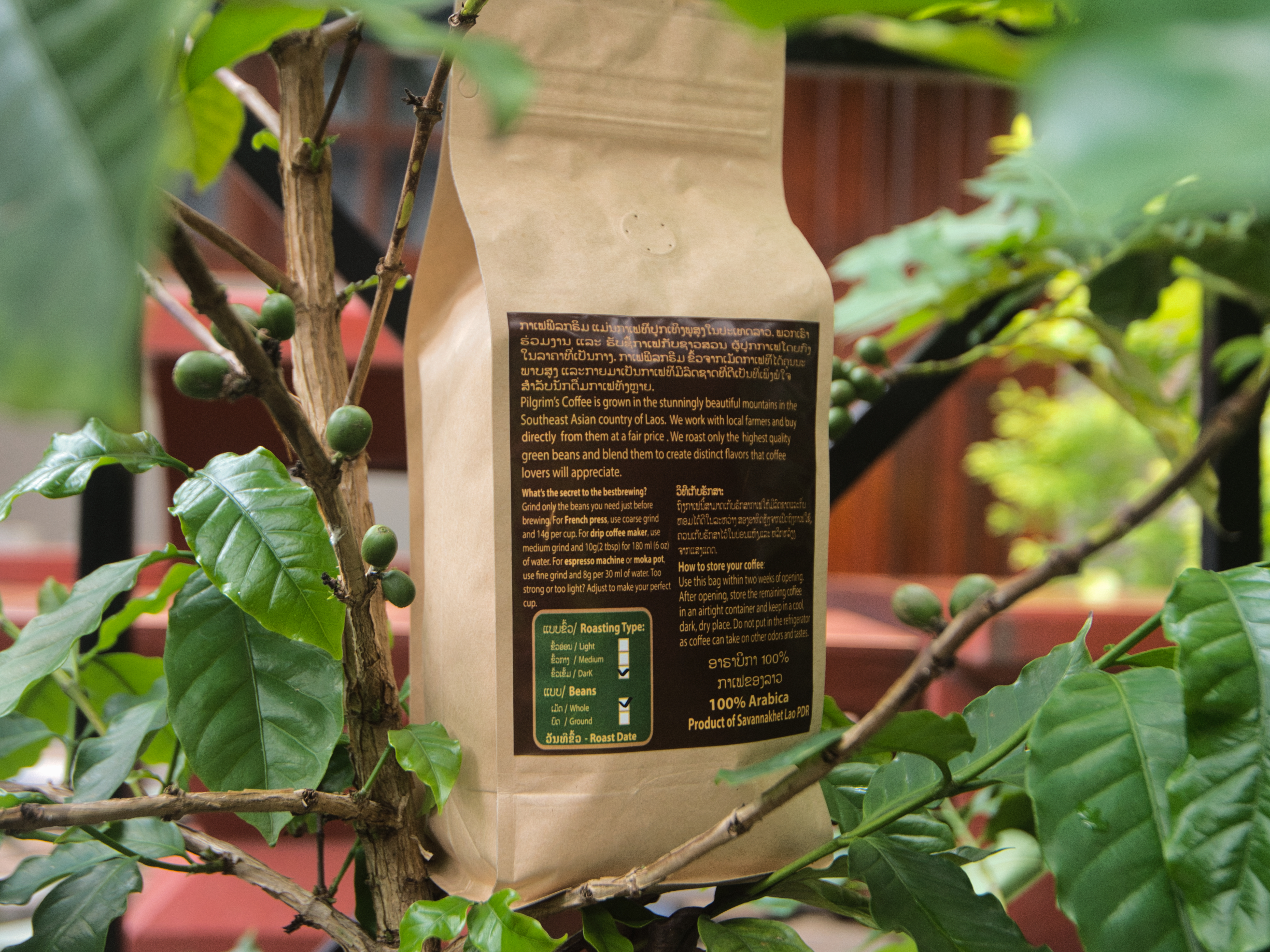 Coffee Beans / Ground 500g
